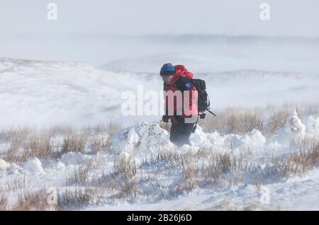 Teesdale, County Durham, Großbritannien. März 2020. Wetter in Großbritannien. Das Teesdale and Weardale Search and Mountain Rescue Team, der Polizei- und Schneepflugfahrer Dan McLaughlin kämpfte durch Tiefschnee und blizzard-bedingungen auf der Höhe von Storm Jorge, um 8 Straßenfahrer zu retten, darunter ein Kind, Die über Nacht in 4 Fahrzeugen auf einer abgelegenen Moorstrecke in der Nähe von Coldberry End in Upper Teesdale gefangen waren. Credit: David Forster/Alamy Live News Stockfoto