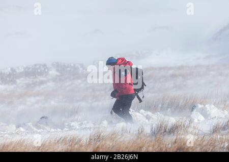 Teesdale, County Durham, Großbritannien. März 2020. Wetter in Großbritannien. Das Teesdale and Weardale Search and Mountain Rescue Team, der Polizei- und Schneepflugfahrer Dan McLaughlin kämpfte durch Tiefschnee und blizzard-bedingungen auf der Höhe von Storm Jorge, um 8 Straßenfahrer zu retten, darunter ein Kind, Die über Nacht in 4 Fahrzeugen auf einer abgelegenen Moorstrecke in der Nähe von Coldberry End in Upper Teesdale gefangen waren. Credit: David Forster/Alamy Live News Stockfoto