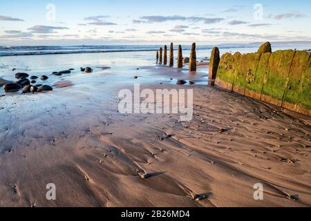 Holzgabionen und Meeresschutz auf. Westwärts Ho! Strand mit grünen Algen und Kieselsteinen an einem sandigen Strand, NorthDevon, South West, Großbritannien Stockfoto