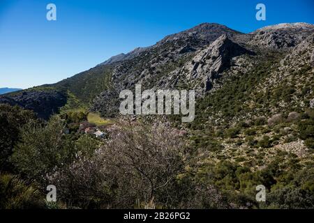 Landschaft Sierra de Grazalema in der Provinz Málaga, Andalusien, Spanien. Stockfoto