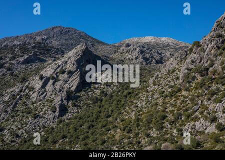 Landschaft Sierra de Grazalema in der Provinz Málaga, Andalusien, Spanien. Stockfoto