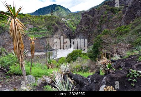 Der Fluss quetscht durch Felsen in einem grünen Tal Stockfoto