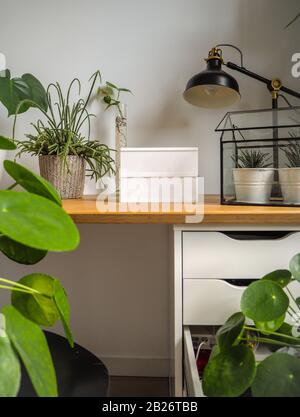 Modernes und leichtes Studienbüro mit urbanem Dschungelgefühl dank zahlreicher grüner Pflanzen. Kleiner Leuchtkasten für Textoptionen. Stockfoto