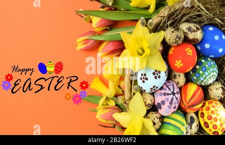 Frohe Ostern - bemalte Eier und Narzissen auf farbigem Hintergrund Stockfoto