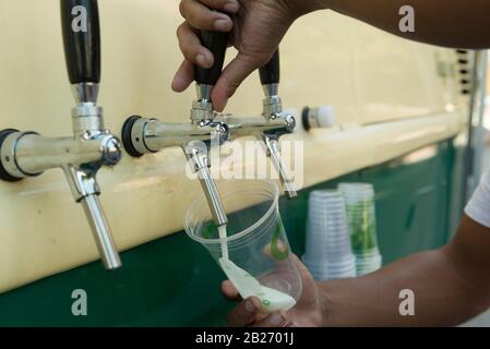 Barkeeper gießt aus frisch gebaschenem Bier in den Plastikbecher. Hände von Barkeeper, die Bierglas aus einem Barkeeper füllen. Hand des Barkeeders, der einen pilsen b gießt Stockfoto