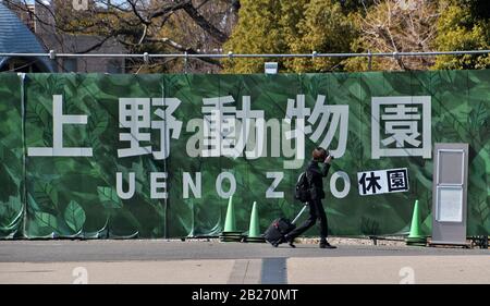 Tokio, Japan. März 2020. Menschen mit Gesichtsmaske besuchen den Ueno Park in Tokio, Japan am Sonntag, 1. März 2020. Japans Regierungsanfrage, landesweit ein großes Ereignis zu annullieren oder zu verschieben, um die Ausbreitung des neuen Coronavirus zu kontrollieren. Foto von Keizo Mori/UPI Credit: UPI/Alamy Live News Stockfoto