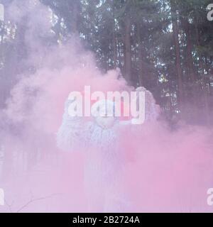 Yeti Märchenfigur im Winterwald. Fantasy-Foto im Freien. Stockfoto