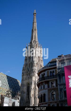 Stephansdom/Domkirche St. Stephan, Wien, Oesterreich/Vienne, Österreich (nur fuer redaktionelle Verwendung. Keine Werbung. Referenzdatenbank: Http://ww Stockfoto