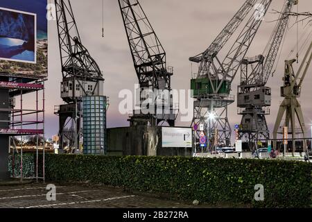 Antwerpen, Belgien - 5. Februar 2020: Alte Ladekräne am Ufer der Schelde im Hafen von Antwerpen. Stockfoto