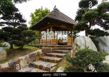 Hongkong - 18. Januar 2020: Chinesischer Pavillon aus Holz im Nan Lian Garden, Diamond Hill, Kowloon, Mittelaufnahme, Tiefwinkelansicht Stockfoto