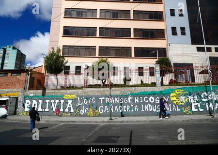 La Paz, Bolivien, 29. Februar 2020: "Bolivien frei von Transgenen Kulturen und industrieller Rinderhaltung" Protestmural neben der wichtigsten UMSA-Universität in La Paz. Der kleinere Slogan auf gelbem Hintergrund über dem IA von Bolivien bedeutet "einheimische Samen im Widerstand". Stockfoto