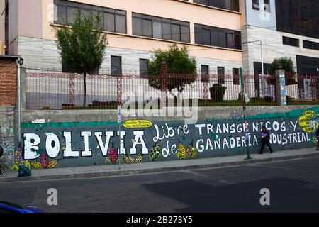 La Paz, Bolivien, 29. Februar 2020: "Bolivien frei von Transgenen Kulturen und industrieller Rinderhaltung" Protestmural neben der wichtigsten UMSA-Universität in La Paz. Der kleinere Slogan auf gelbem Hintergrund über dem IA von Bolivien bedeutet "einheimische Samen im Widerstand". Stockfoto