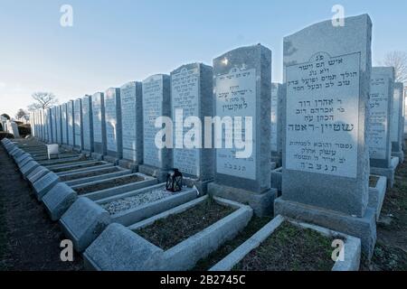 Eine Reihe von Kopfsteinen mit hebräischer Schrift in Montefiore, einem jüdischen Friedhof in Cambria Heights, Queens, New York. Stockfoto