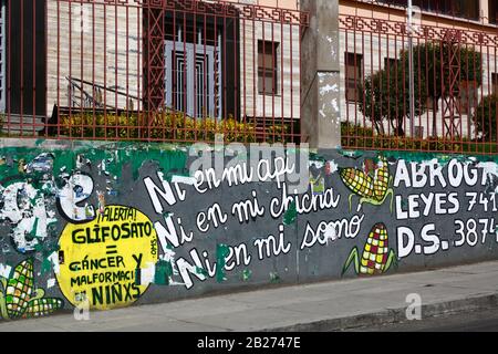 La Paz, Bolivien, 29. Februar 2020: Wandbild, das gegen Gesetze protestiert, um transgene Kulturen neben der Haupt-UMSA-Universität in La Paz zuzulassen. Auf dem gelben Hintergrund auf der linken Seite befinden sich Warnungen vor Glyphosat, das Krebs und Deformierungen bei Kindern verursacht. Die Sätze "Ni en mi / Nicht in meiner api" usw. beziehen sich auf api, Chicha und somo, beliebte traditionelle bolivianische Getränke, die mit Mais/Mais hergestellt werden. Stockfoto