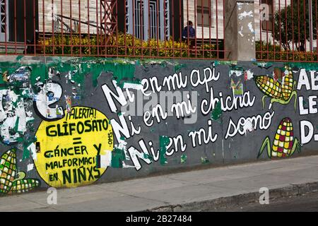 La Paz, Bolivien, 29. Februar 2020: Wandprobung gegen transgene Kulturen neben der Haupt-UMSA-Universität in La Paz. Auf dem gelben Hintergrund auf der linken Seite befinden sich Warnungen vor Glyphosat, das Krebs und Deformierungen bei Kindern verursacht. Die Sätze "Ni en mi / Nicht in meiner api" usw. beziehen sich auf api, Chicha und somo, beliebte traditionelle bolivianische Getränke, die mit Mais/Mais hergestellt werden. Stockfoto