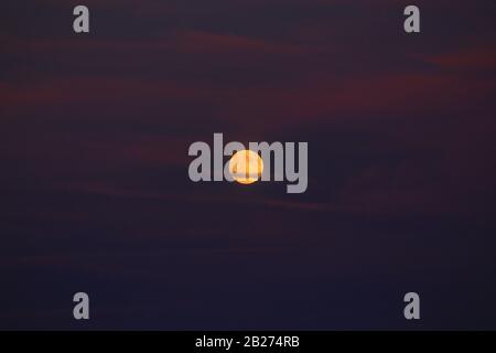 Vollmond in einem violetten Himmel. Stockfoto