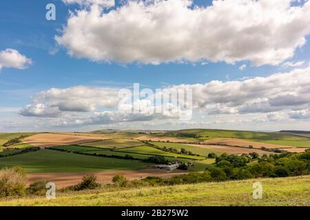 Blick über die Lychpole Farm, um Im South Downs National Park, nördlich von Worthing, West Sussex, Großbritannien, Zu Steil Hinunterzufahren. Stockfoto