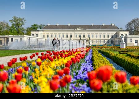 Tulpenbeete, Glockenfontäne, Schloss, Großer Garten, Herrenhäuser Gärten, Hannover, Niedersachsen, Deutschland Stockfoto