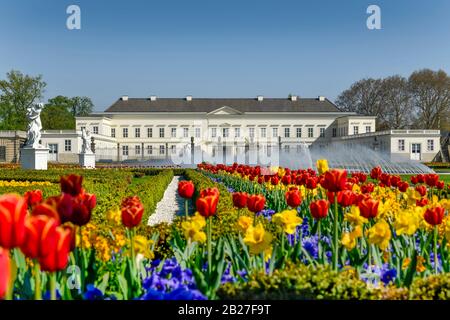 Tulpenbeete, Glockenfontäne, Schloss, Großer Garten, Herrenhäuser Gärten, Hannover, Niedersachsen, Deutschland Stockfoto