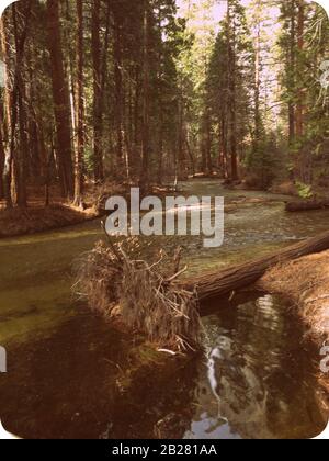 Blick auf den Yosemite Creek im Yosemite Valley, Sierra Nevada im Norden Kaliforniens, Vereinigte Staaten, Retro Stockfoto