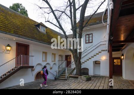 Wien, Wien: Museum Beethoven Haus Haus, Probusgasse 6, Bezirk Heiligenstadt, Hof im 19. Döbling, Wien, Österreich Stockfoto