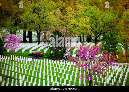 US-Militärfriedhof und Grabzug im Frühjahr in Arlington, USA Stockfoto