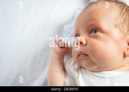 Nahporträt des kleinen Babyjungen beruhigt das Gesicht in der Krippe Stockfoto