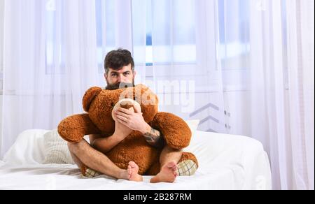 Kerl auf verschlafendem Gesicht umarmt den riesigen Teddybären. Infantilistischer Begriff. Mann sitzt auf dem Bett und umarmt großes Spielzeug, weiße Vorhänge auf dem Hintergrund. Macho mit Bart und Schnurrbart entspannen mit Plüschtier nach dem Nickerchen, ruhen Sie sich aus Stockfoto