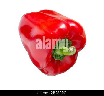 Rote Glocken-Peppers isoliert auf weißem Hintergrund. Süße Pfefferglocke. Frisches Gemüse. Stockfoto