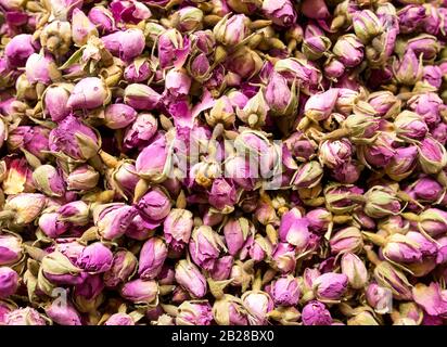 Rosa Rosen Tee getrocknet Stockfoto