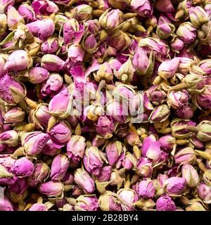 Rosa Rosen Tee getrocknet Stockfoto