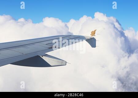 Goldener Falke mit goldenem Golfluftlogo im Winglet sieht aus wie ein Adler oder ein Vogel, der neben dem Flugzeug fliegt Stockfoto