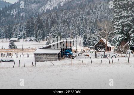 Alter Traktorschuppen mit blauem Traktor und einem alten Gehöft im Hintergrund vor einem Berghang schneebedeckter Kiefern Stockfoto