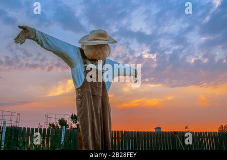 Milde Natur Garten Schrecken Krähe mit braunen Overalls mit einem bunten Himmel von der untergehenden Sonne im Hintergrund Stockfoto