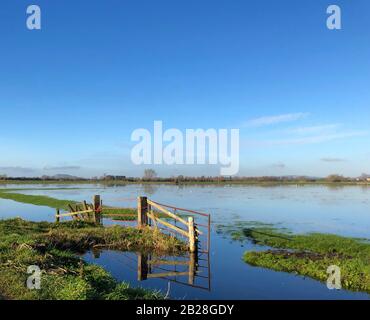 Überschwemmungen auf Somerset-Niveau Stockfoto