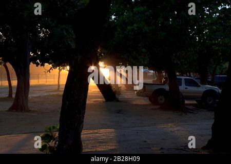 Sonnenstrahlen durchdringen das Laub der weißen Zedernbäume am Vigie Beach und beleuchten den khakifarbenen Sand, der von einem goldenen Pickup-Truck geparkt wird Stockfoto