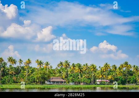 Kokospalmen und kleine Häuser am Ufer des Rückwassers von Kerala. Stockfoto