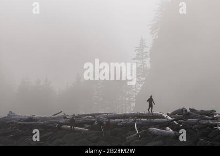 Silhouetted man spaziert entlang riesiger Holzstämme, die auf den Felsen an der Washingtoner Küste vom Pazifischen Ozean mit einem nebligen Hintergrund und einem fetten Hintergrund aufgespült wurden Stockfoto