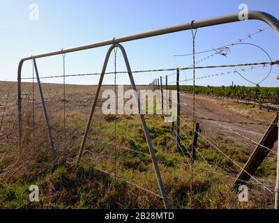 Hochauflösendes Bild eines Weinguts und Ackerlandes in der Westkap-Weinregion in Südafrika. Keine Leute. Stockfoto