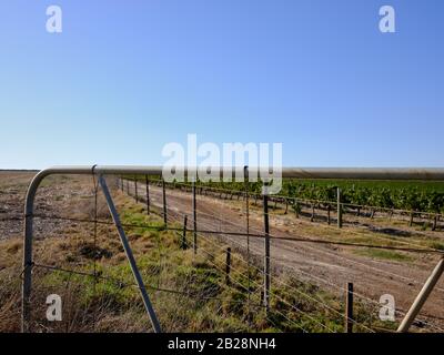 Hochauflösendes Bild eines Weinguts und Ackerlandes in der Westkap-Weinregion in Südafrika. Keine Leute. Stockfoto