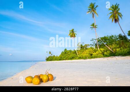 Asien, Indonesien, Gewürzinseln, Seram, Pulau Manawoka. Ein unberührter, leerer Inselstrand in Maluku/Raja Ampat Stockfoto