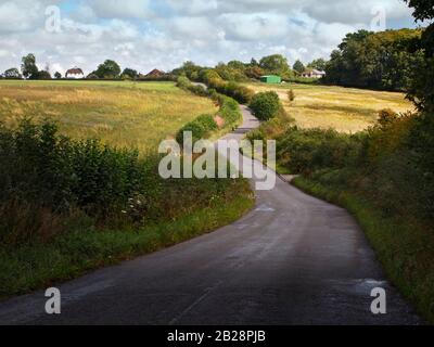 Englische Landstraße gesäumt von Hecken durch beschnittene Felder mit Bauernhäusern Stockfoto