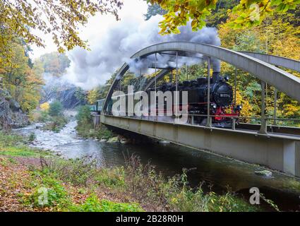 Weißeritztalbahn in Rabenauer Grund, Rabenau, Osterzgebirge, Sachsen, Deutschland Stockfoto