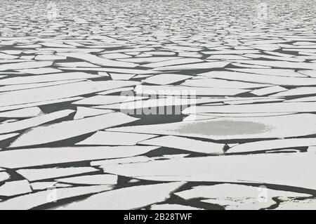 Große Scherben zerbrochenes Eis, das im Winter auf einem obskuren See schwimmt Stockfoto