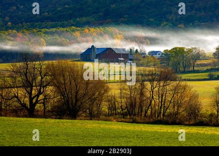 Morning Mist im landwirtschaftlichen Kishacoquillas Valley im Mifflin County, Pennsylvania Stockfoto