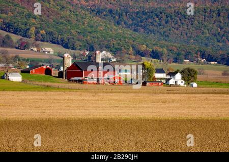 Eine Milchfarm in der Amish beeinflussten Siedlung Kishacoquillas Valley, Mifflin County, Pennsylvania Stockfoto