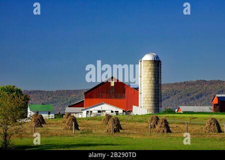 Maisschläge auf einer Milchfarm in der Amish beeinflussten die Siedlung Kishacoquillas Valley, Mifflin County, Pennsylvania Stockfoto