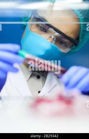 Portrait der Wissenschaftlerin, die das Reagenzglas mit Blutprobe hält, während sie an der Forschung im Labor, im Kopierraum, arbeitet Stockfoto