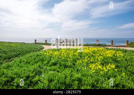 Blick auf die Küste von oberhalb von Windansea Beach an einem Winternachmittag. La Jolla, CA, USA. Stockfoto