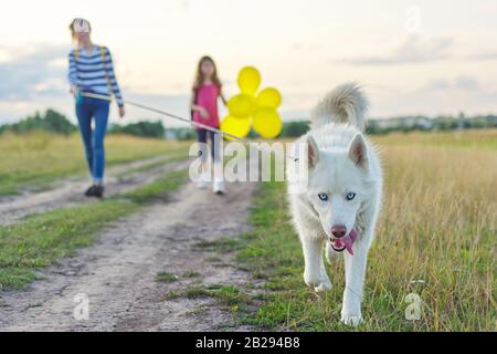 Kinder Mädchen mit Haustier auf der Landstraße am sonnigen Sommertag Stockfoto